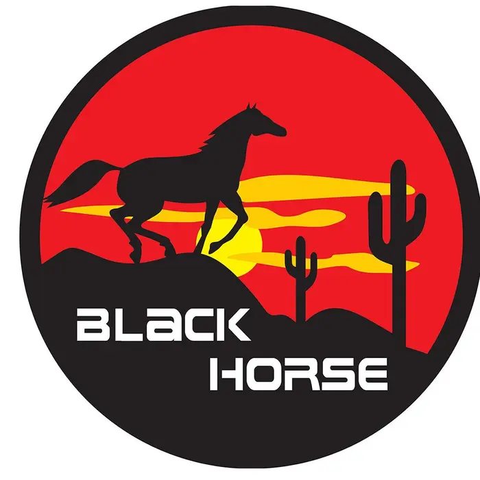 Capa com Cadeado para Estepe Cavalo Negro CARRHEL-457